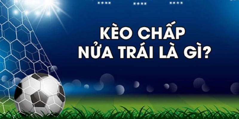 Hiểu rõ cách đọc kèo chấp ½ để chơi cược tốt hơn